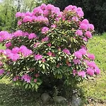 מלון Fontaine Bleue אורטה סאן ג'יוליו