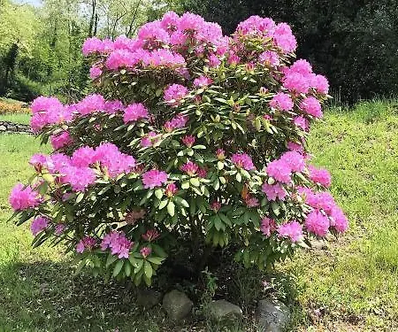 Hotel Fontaine Bleue Orta San Giulio